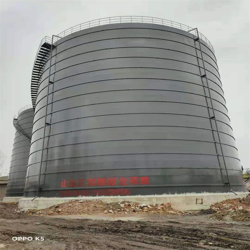 嘉鱼3万吨大型钢板库